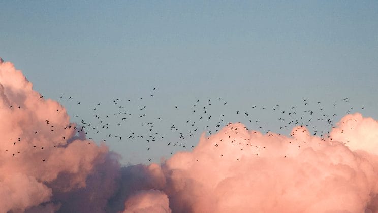 Moving to the Cloud: How to Map Out a Successful Cloud Migration Strategy for Your Application